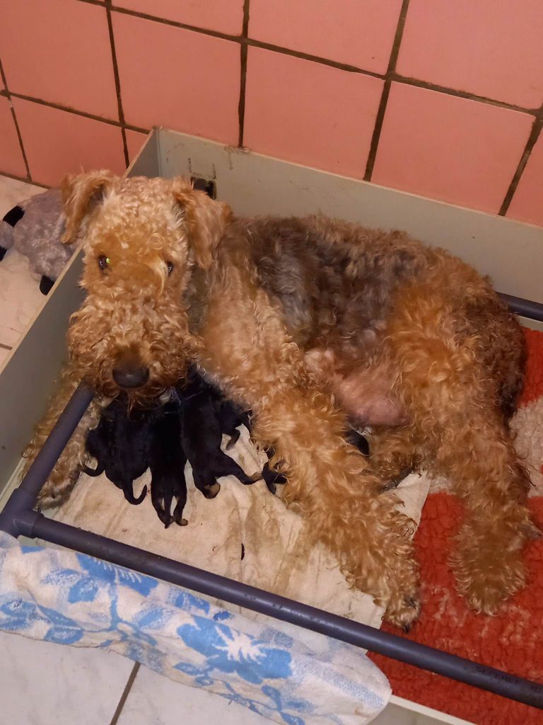 Les bébés sont arrivés !!!!
